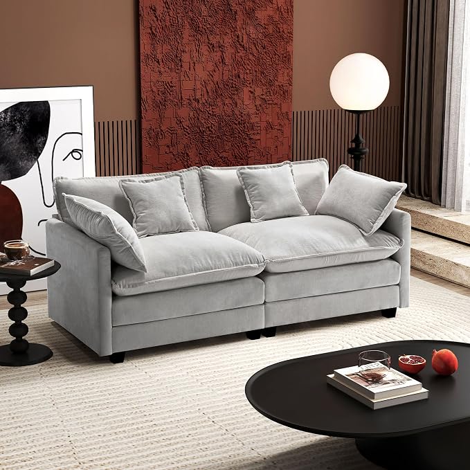 Ihanherry Cloud Sofa 77 Inch Loveseat, Modern Sectional Couch, 2-Seats Sofa by iHanHerry
