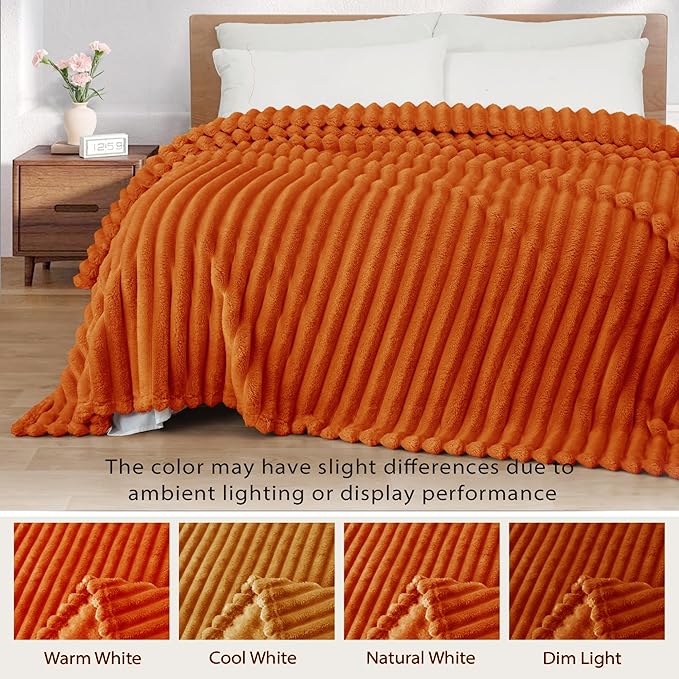 Exclusivo Mezcla Twin Size Flannel Fleece Blanket, Super Soft Striped Jacquard - Image 3