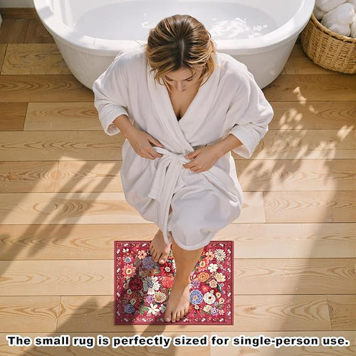Area Rugs 24x17 Inch Home Decor Entry Rug, Small Door Mat Bath Mats - Image 2