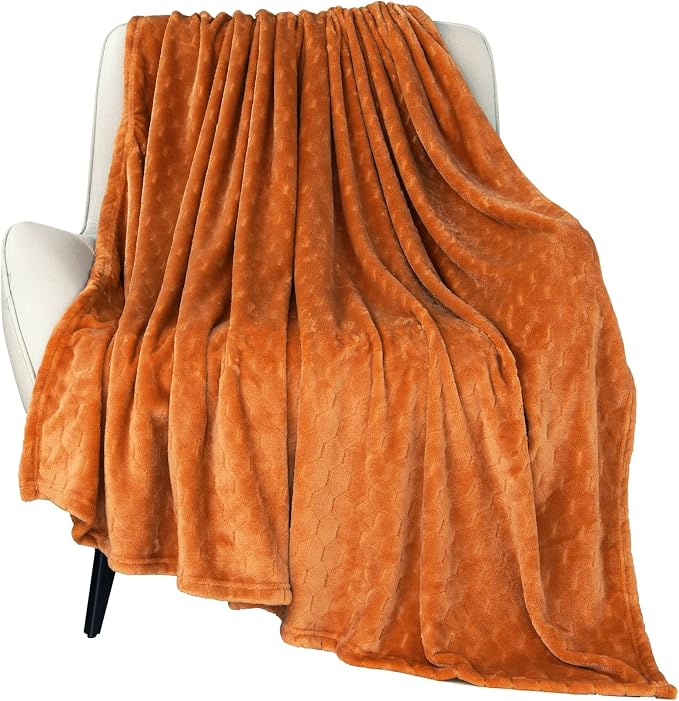 TOONOW Fleece Blanket Textured Fuzzy Plush Throw Blanket Twin Size 60" x 80" by TOONOW