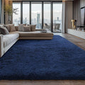Shag Area Rugs for Bedroom Living Room, 6X9 Ultra Soft Fluffy Area Rugs for Dorm by Boshengya