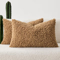 Faux Fur Throw Pillow Covers 20x12 Inch Set of 2 Boucle Neutral Decorative by Woaboy