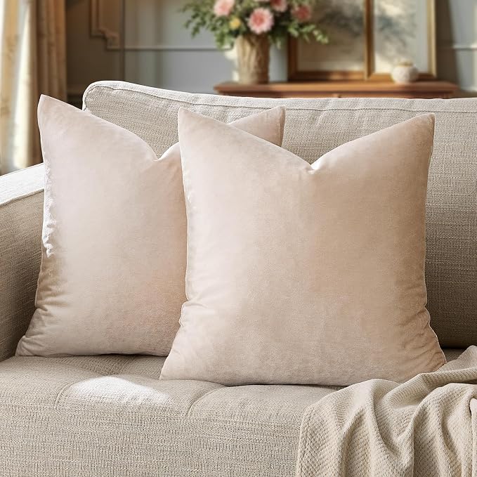 GIGIZAZA 22x22 Beige Pillow Covers: Pack of 2 Champagne Vintage Throw Pillows by GIGIZAZAFocusingonhomedecoration