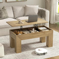 FABATO 41.7'' Lift Top Coffee Table, Wooden Rectangle Coffee Table by FABATO