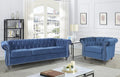 RARZOE Modern 2 Pieces Living Room Sofa Set, Contemporary Tufted Button Velvet by RARZOE
