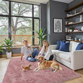 Rugs for Bedroom 4x6, Alfombras para Salas Shag Large Plush Soft Area Rug by Junhejiamei