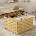 BROTTAR Lift Top Coffee Table, 31.5'' Square Coffee Table by BROTTAR