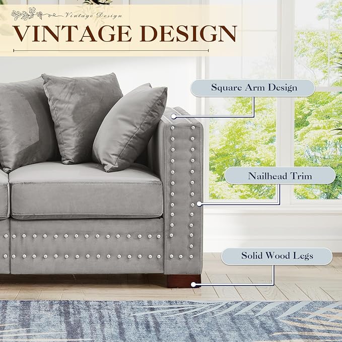 60.5"W Loveseat Sofa, Velvet Mid Century Modern Couch - Image 4