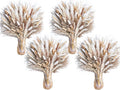 440PCS Natural Pampas Grass Mix Bouquet | Dried Pampas Bouquet by Naturalpampa