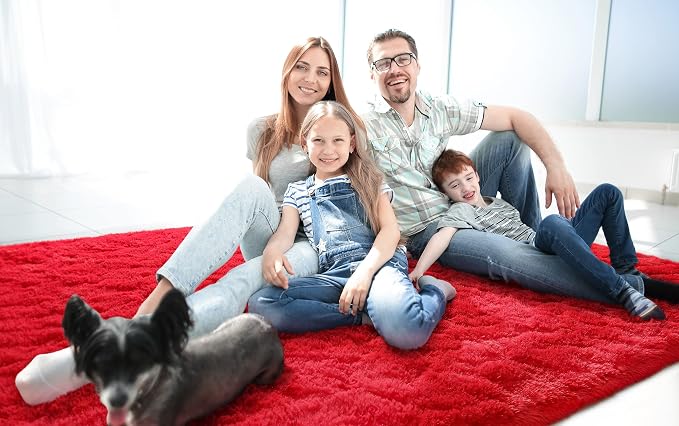 LOCHAS Ultra Soft Indoor Modern Area Rugs Fluffy Living Room Carpets - Image 2