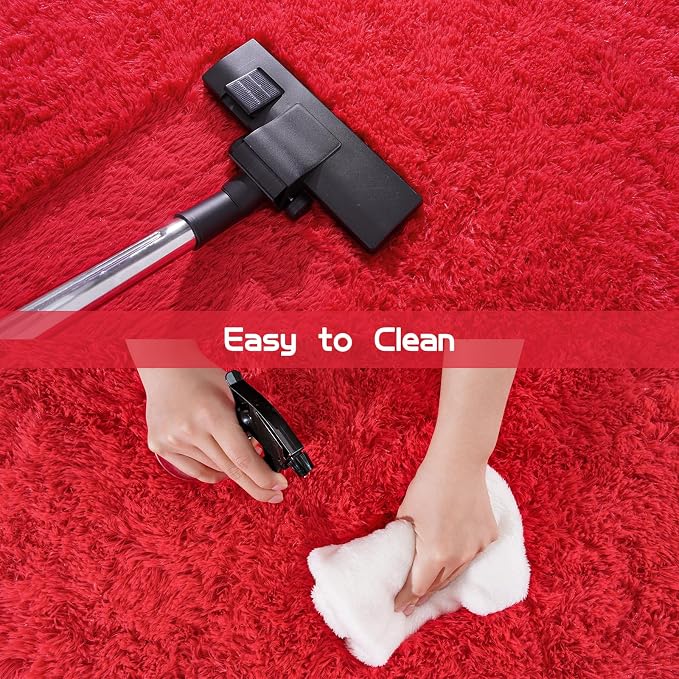 Pionblank Fluffy Small Rug for Bedroom 2x3 Feet, Shag Soft Area Rug for Bedside - Image 4