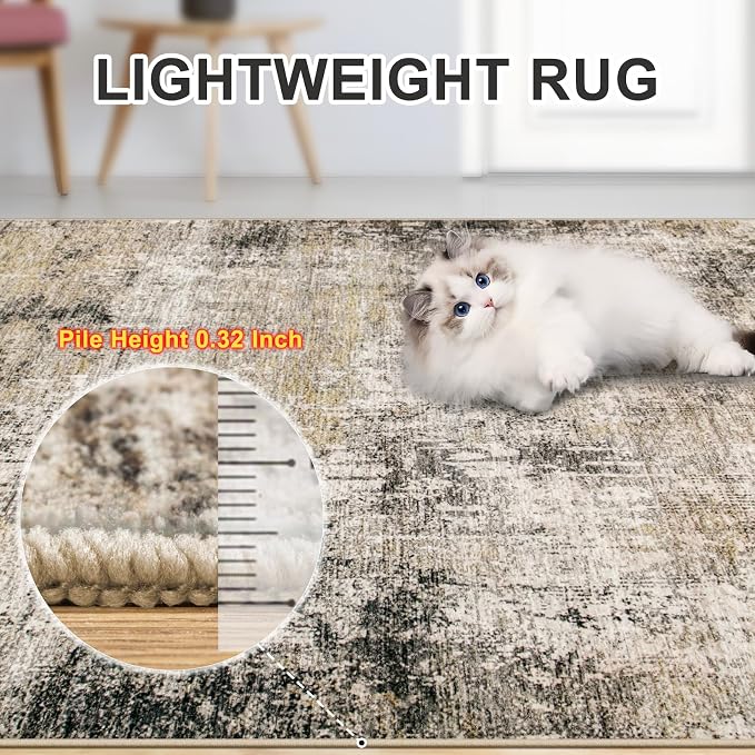 Area Rugs 9x12 Living Room - Image 7