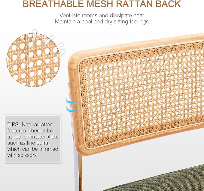 Zesthouse Natural Rattan Dining Chairs Set of 2, Mid Century Modern Dining - Image 4