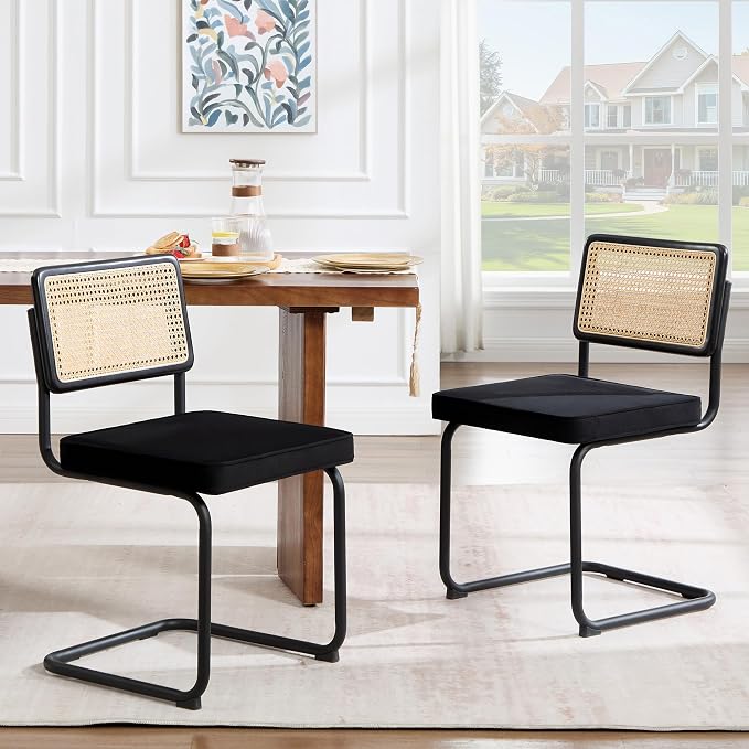 Zesthouse Natural Rattan Dining Chairs Set of 2, Modern Dining Room Chairs by Zesthouse
