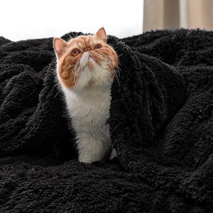 Bedsure GentleSoft Fluffy Black Blankets Queen Size - Image 9