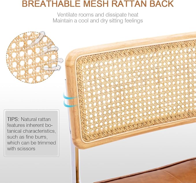 Zesthouse Natural Rattan Dining Chairs Set of 6, Modern Dining Room Chairs - Image 4