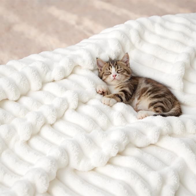 Bedsure GentleSoft Blankets Queen Size - Image 8
