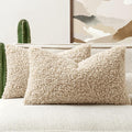Faux Fur Throw Pillow Covers 20x12 Inch Set of 2 Boucle Neutral Decorative by Woaboy