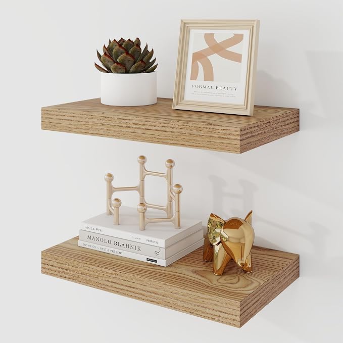 Acovy 16 Inch Floating Shelves, 9.3" Deep Floating Shelf Wall Mounted, Rustic by Acovy