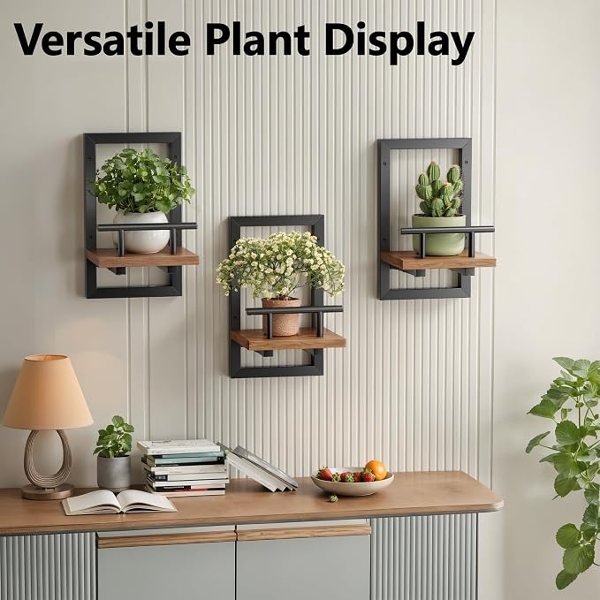 Sbosbo Floating Shelves for Wall, Plant Shelf Indoor, Wall Planters for Indoor - Image 4
