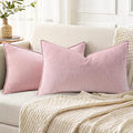 decorUhome Summer Couch Throw Pillow Covers 12x20 Set of 2, Decorative Soft by decorUhome
