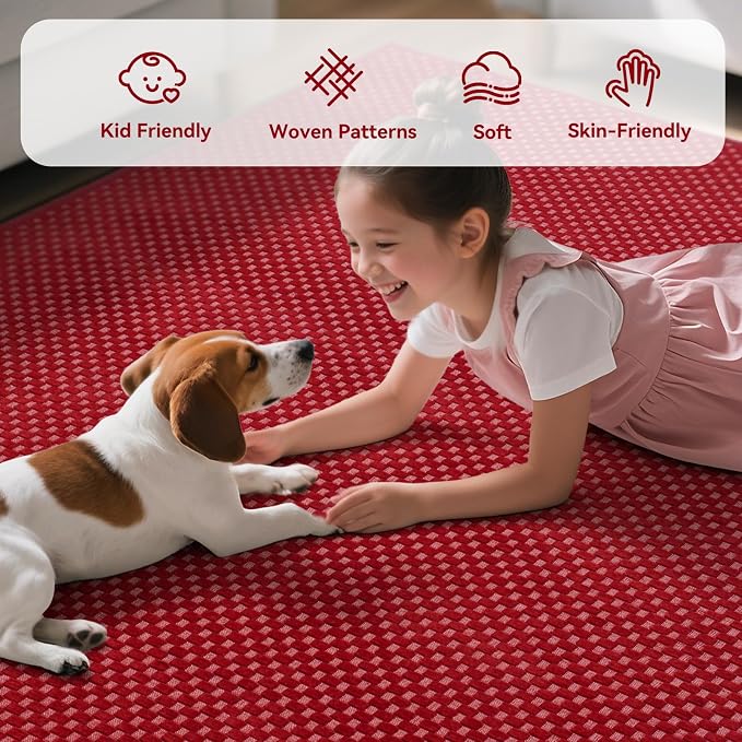 YDKGL 2x3 ft Indoor Door Mat Entryway Rug Non Slip Boho Woven Washable Small - Image 4