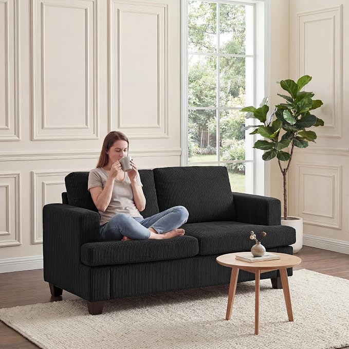 Apicizon Loveseat & 3 Seater Sofa Sets, 2 Piece Modern Sleeper Sofa - Image 6