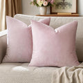 GIGIZAZA Decorative Couch Throw Pillow Covers, Pillow Cases Velvet Pillow Covers by GIGIZAZAFocusingonhomedecoration