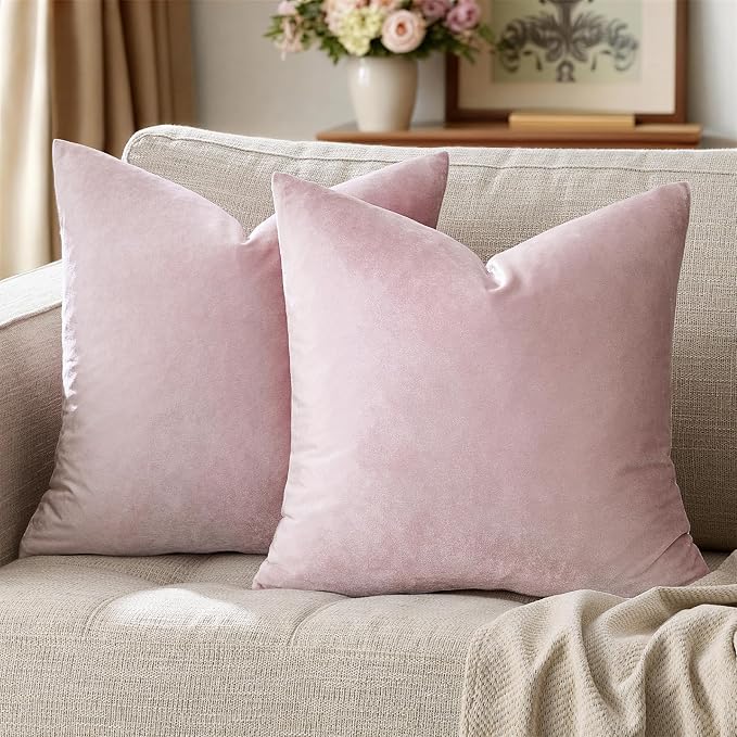 GIGIZAZA Decor Throw Couch Pillow Covers, Set o 2 Sweet Lilac Sofa Cushion by GIGIZAZAFocusingonhomedecoration