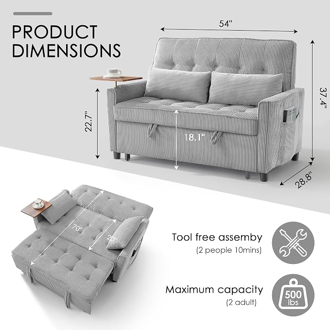Sleeper Sofa Bed, Guest Room - Image 2