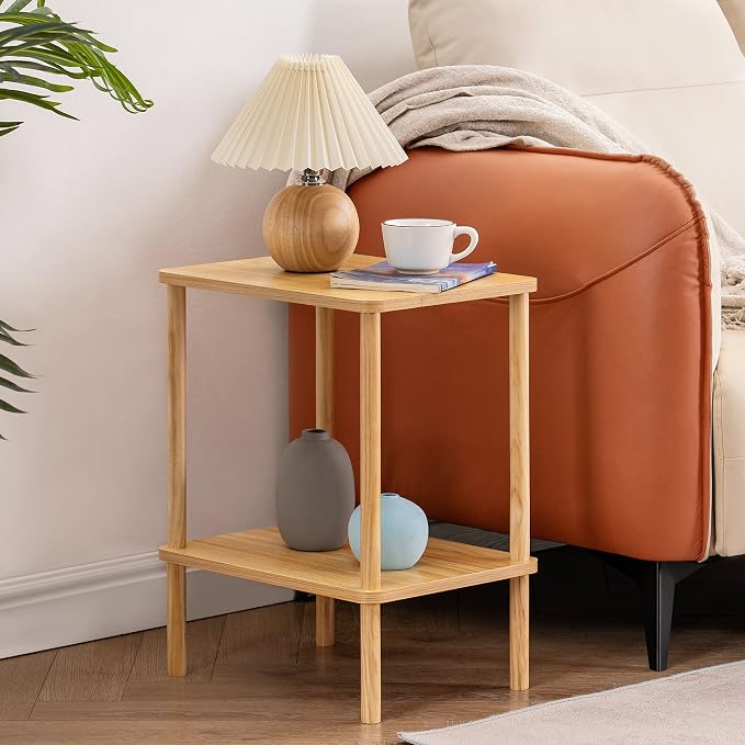 Apicizon 2 Tier End Table, Small Side Table by APICIZON