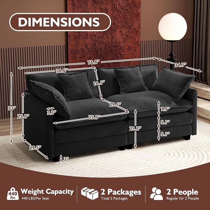 Ihanherry Cloud Sofa 77 Inch Loveseat, Modern Sectional Couch, 2-Seats Sofa - Image 2