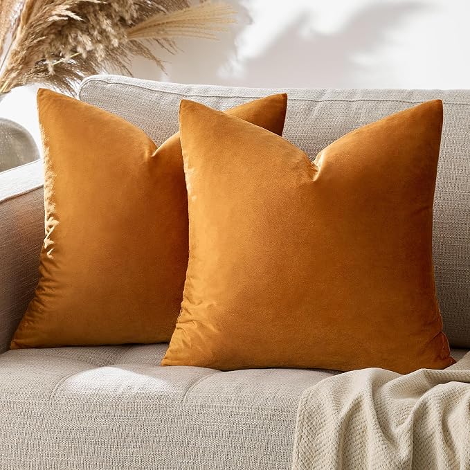 GIGIZAZA Decorative Couch Throw Pillow Covers, Pillow Cases Velvet Pillow Covers - Image 6