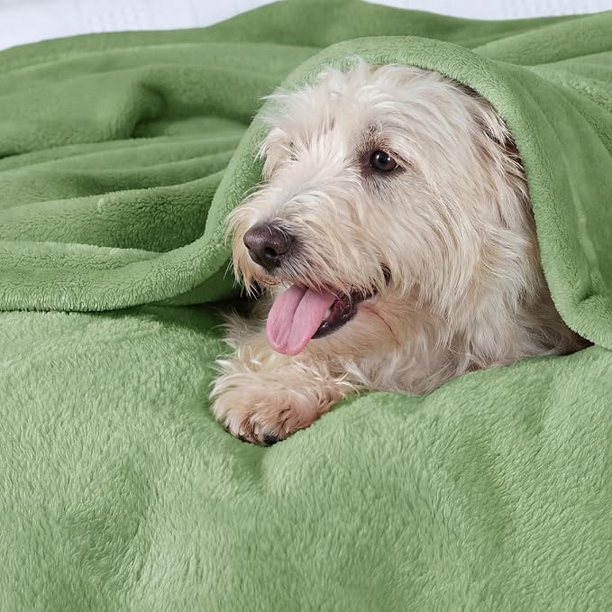 Bedsure GentleSoft Green Fleece Blankets Queen Size - Image 3