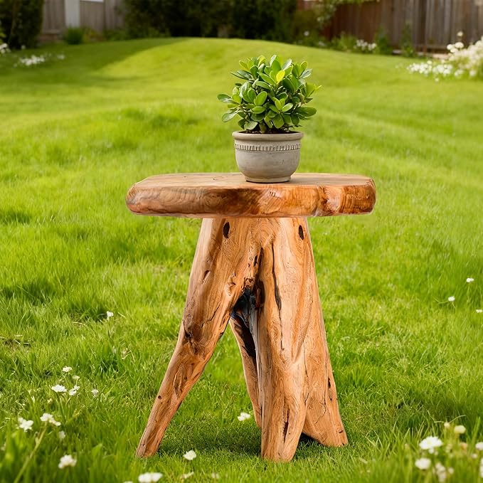 18.9 inch Live Edge Wood Stool, Live Edge Wood Stool, Freeform Mushroom Side - Image 4