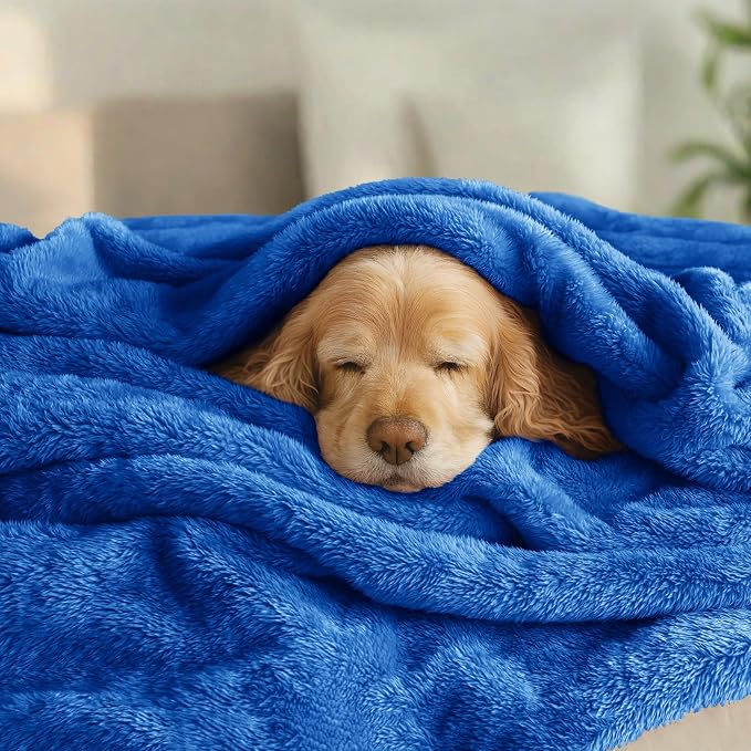 Exclusivo Mezcla Plush Fuzzy Fleece Bed Blanket King Size, Super Soft, Fluffy - Image 3