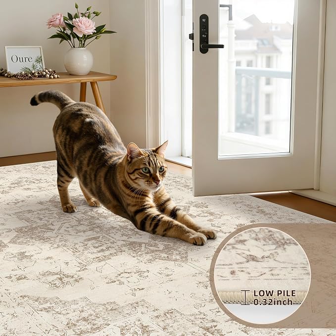 6x9 Area Rugs for Living Room: Vintage Boho Neutral Washable Rug Indoor Soft - Image 7