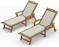 LUE BONA Chaise Lounge Chair Outdoor Set of 2, HDPS and HDPE Wicker Material by LUEBONA