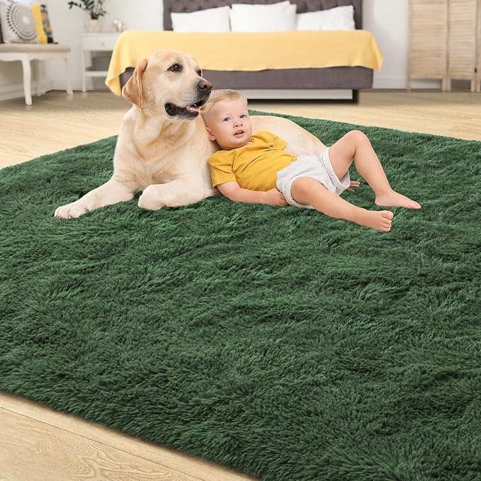 Tepook Soft Fluffy Rugs for Bedroom, 4x6 Area Rug for Living Room, Modern - Image 4