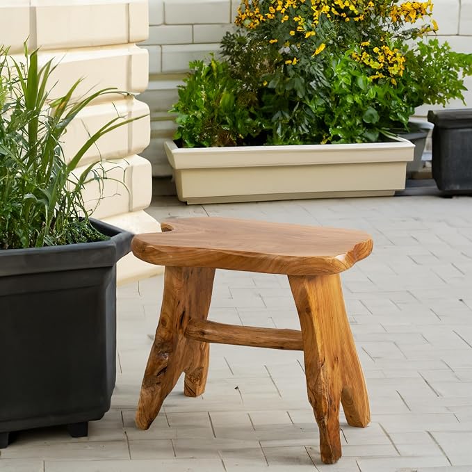 Natural Shape Solid Wood Stump Stool 20"x13"x18" Cedar Root End Table Rustic - Image 3