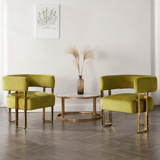 Modern Barrel Accent Chairs Set of 2, Living Room Side Chairs by DMFurniture
