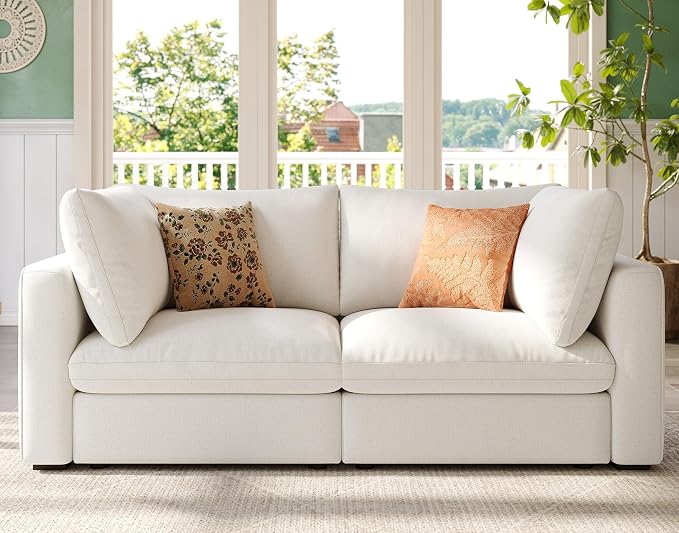 LINSY HOME Modern 2-Seater Sofa, Customizable Living Room Furniture by LINSYHOME