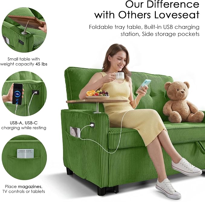 Sleeper Sofa Bed, Guest Room - Image 5