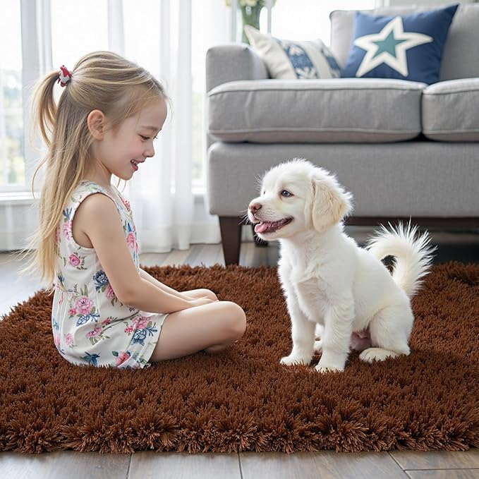 Rugs for Bedroom 4x6, Alfombras para Salas Shag Large Plush Soft Area Rug - Image 2