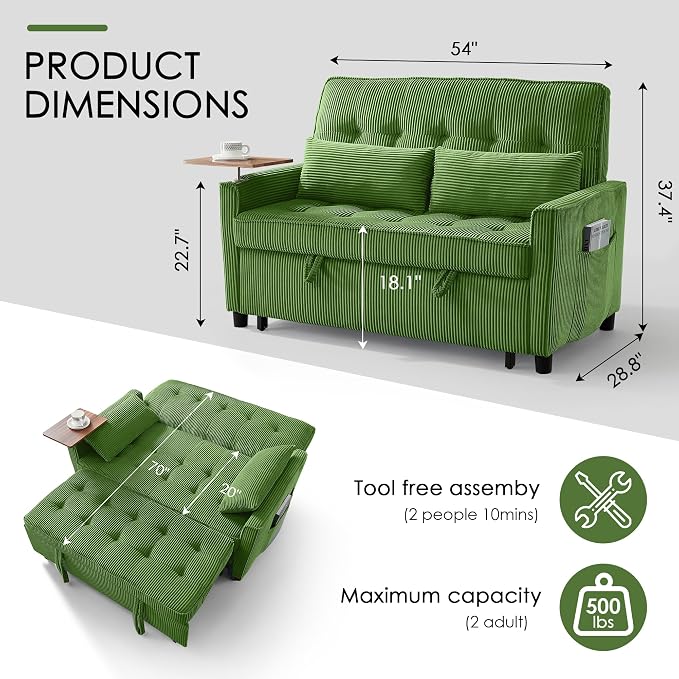 Sleeper Sofa Bed, Guest Room - Image 2