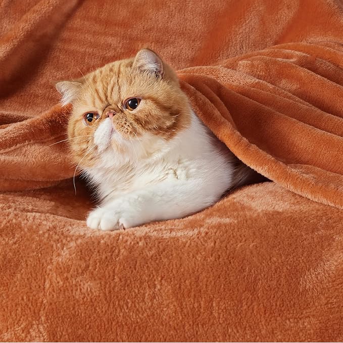 Bedsure GentleSoft Burnt Orange Fleece Throw Blanket - Image 2