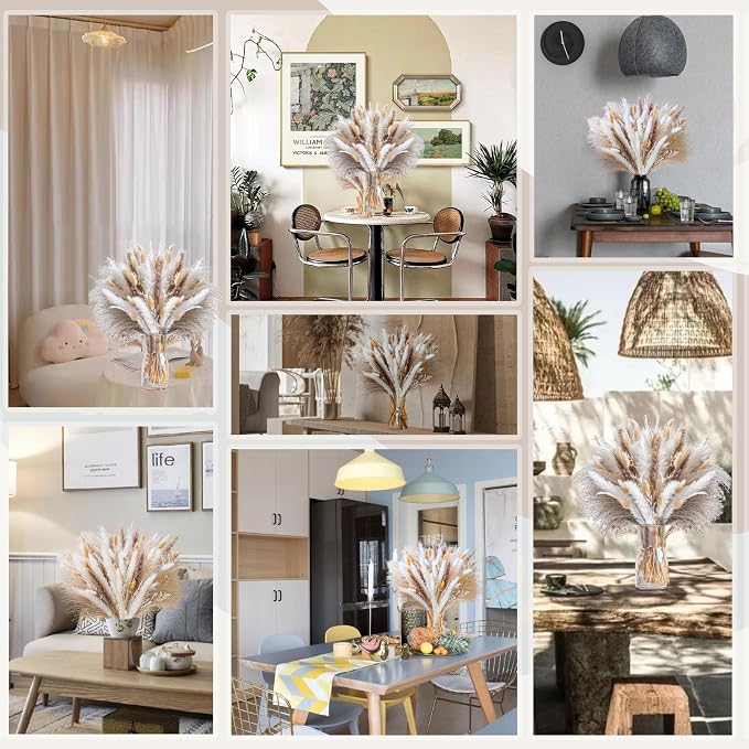440PCS Natural Pampas Grass Mix Bouquet | Dried Pampas Bouquet - Image 5