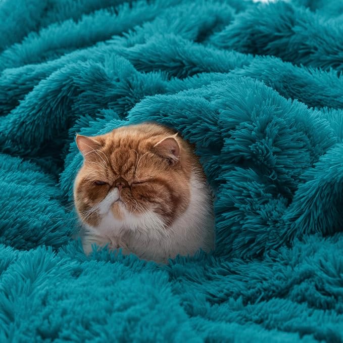 Bedsure GentleSoft Fluffy Turquoise Teal Throw Blanket, Teal Decor Cozy Gifts - Image 5