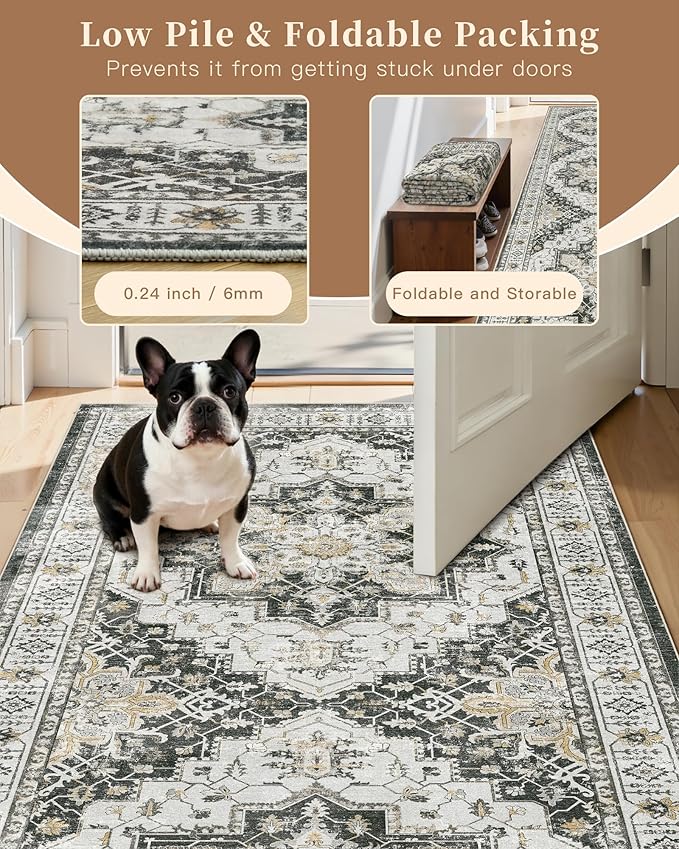 Madane Washable Area Rug 2x4, Small Entryway Rug Non-Slip Vintage Door Mat - Image 6