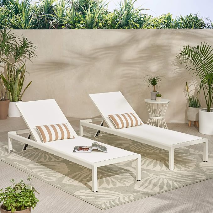 Christopher Knight Home Cynthia Outdoor Chaise Lounge - Image 2